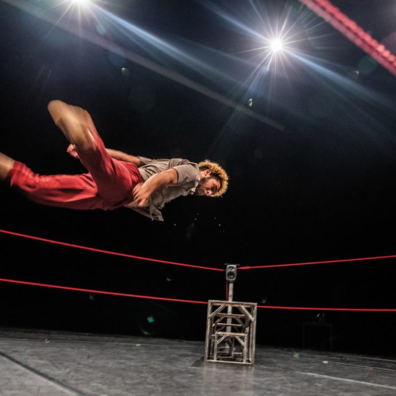 Le bestiaire d'Hichem