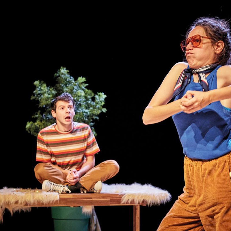 Les hamsters n'existent pas